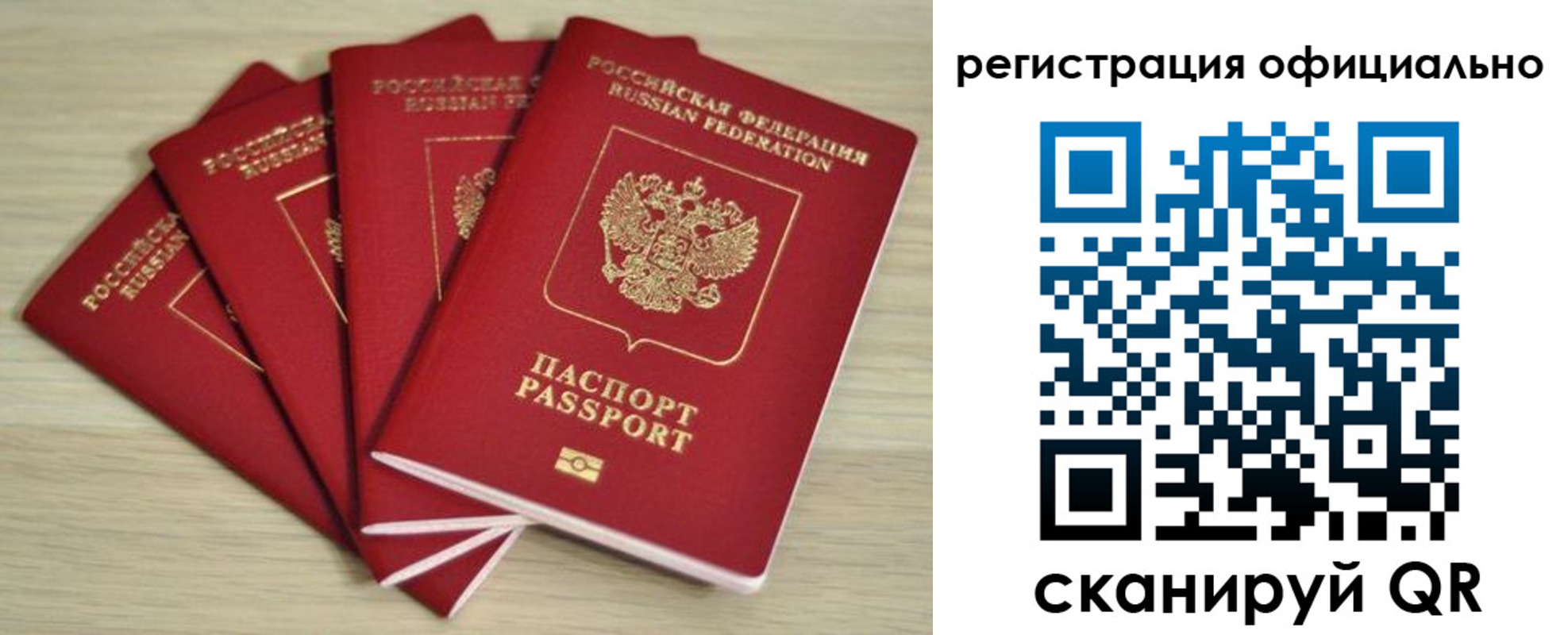 временная прописка в Александровске